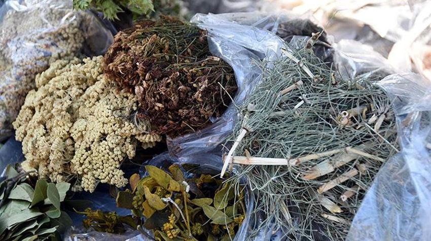 Masum sandığınız bitki çaylarına dikkat: Sakın bu hatayı sakın yapmayın!