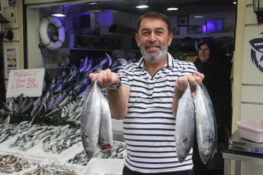 Karadeniz'de palamut bolluğu: Fiyatlar yarı yarıya düştü, tanesi 50 TL'den kapış kapış gidiyor!
