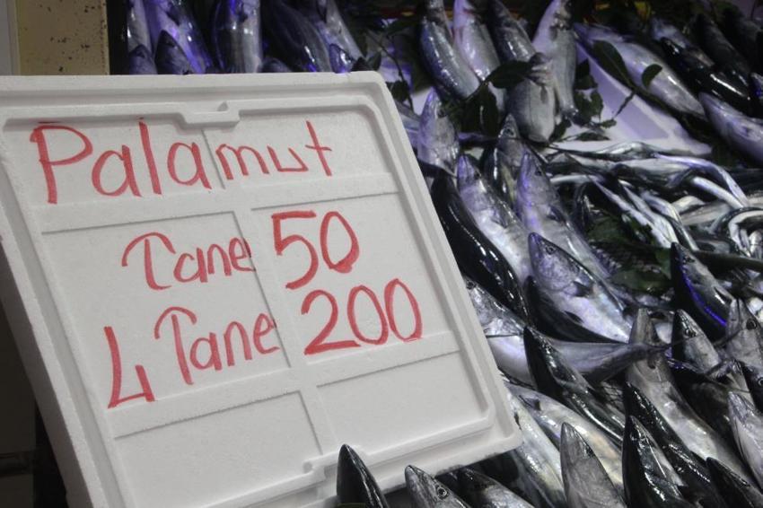 Karadeniz'de palamut bolluğu: Fiyatlar yarı yarıya düştü, tanesi 50 TL'den kapış kapış gidiyor!
