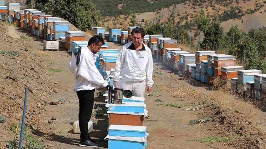 Şehir hayatını bırakıp köyünde devlet desteği ile üretime başladı, şimdi Avrupa'ya ihracat yapıyor: Hasat başlamadan sipariş almaya başlıyor!