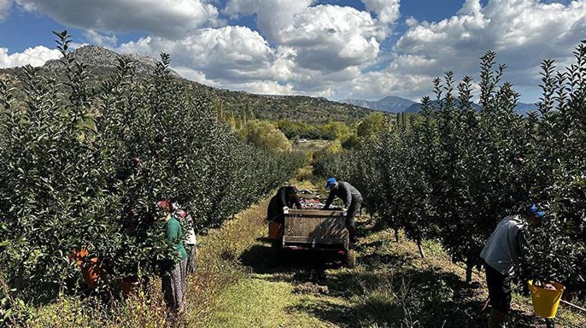 Isparta’da bahçeler doldu taştı! 1 milyon tonluk hasat bekleniyor