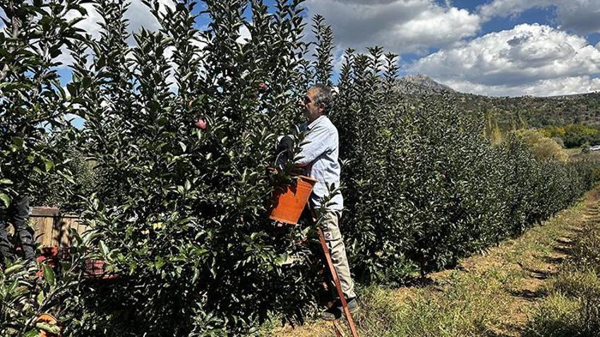 Isparta’da bahçeler doldu taştı! 1 milyon tonluk hasat bekleniyor