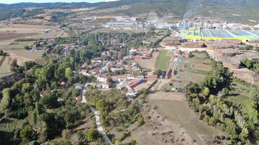 Sadece Kastamonu'da yetişen ve Osmanlı mutfağının vazgeçilmez coğrafi işaretli meyvesi üryani eriğinin hasadı başladı