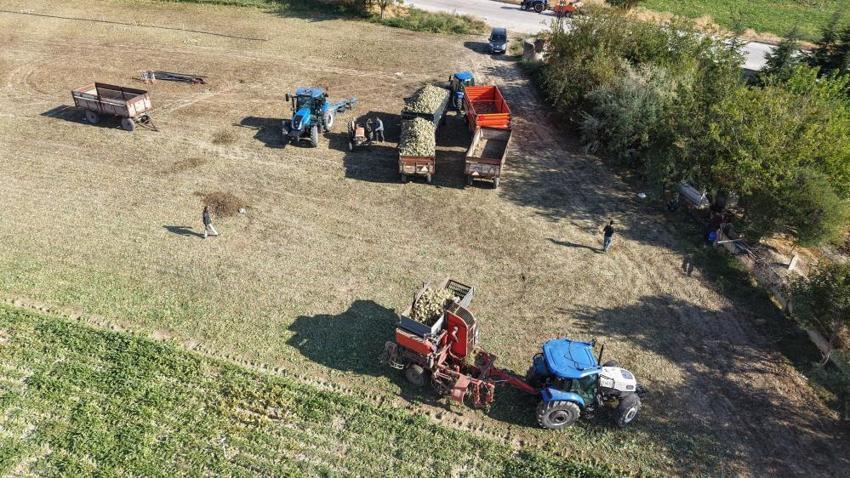 Elazığ'da hasat başladı: Çiftçiler tarlada rekora koşuyor! 10-15 senedir ekilmeyen tarlalarda verim katlandı