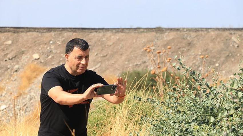 Dünyanın nadir kelebekleri Diyarbakır'da: Beyaz öncü kelebekleri Hevsel Bahçeleri'ne akın etti!