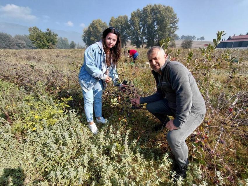 İnşaat mezunuydu, tarlası için ziraat mühendisliği okumaya başladı: Öğrendiği teknikle 10 dönümlük arazide üretim rekoru kırdı!