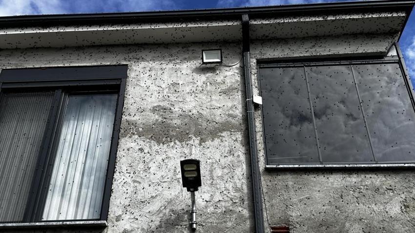 Mahalle haritadan siliniyor! Çin'den gelip Sakarya'yı esir aldı: Evlere giremez olduk