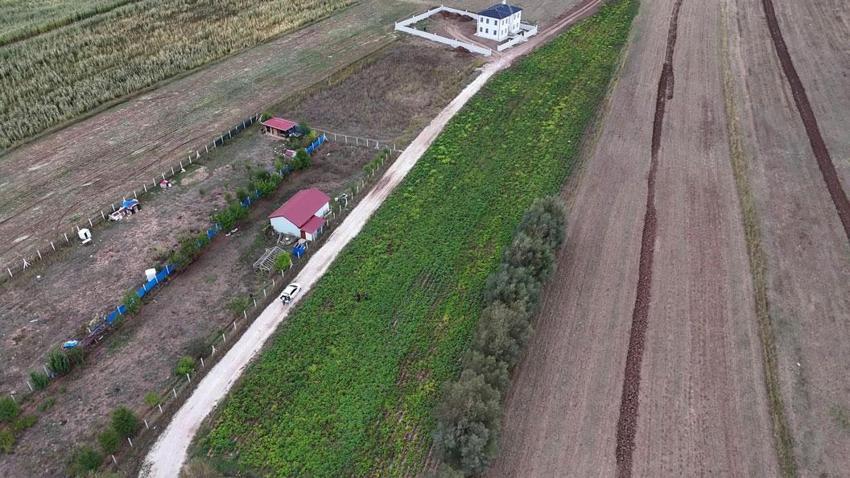 Sivas'ta gözler 29 Ekim'e çevrildi! Türkiye'de patates sökümünün en son yapıldığı şehirde hedef 500 bin tonun üzerinde ürün