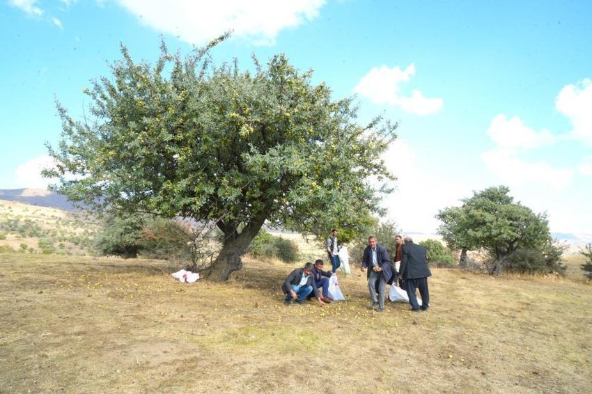 Muş’ta doğal servet! Sezon açıldı, Türkiye’nin dört bir yanından akın akın geliyorlar