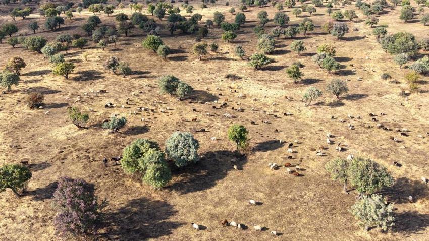 Muş’ta doğal servet! Sezon açıldı, Türkiye’nin dört bir yanından akın akın geliyorlar