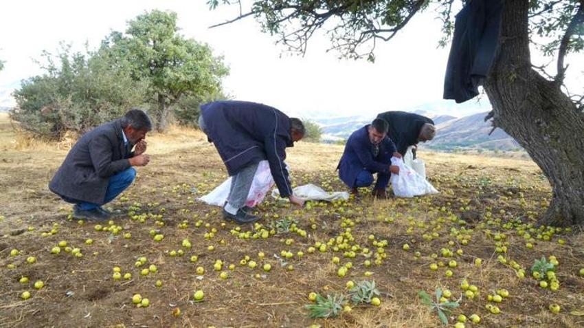 Muş’ta doğal servet! Sezon açıldı, Türkiye’nin dört bir yanından akın akın geliyorlar