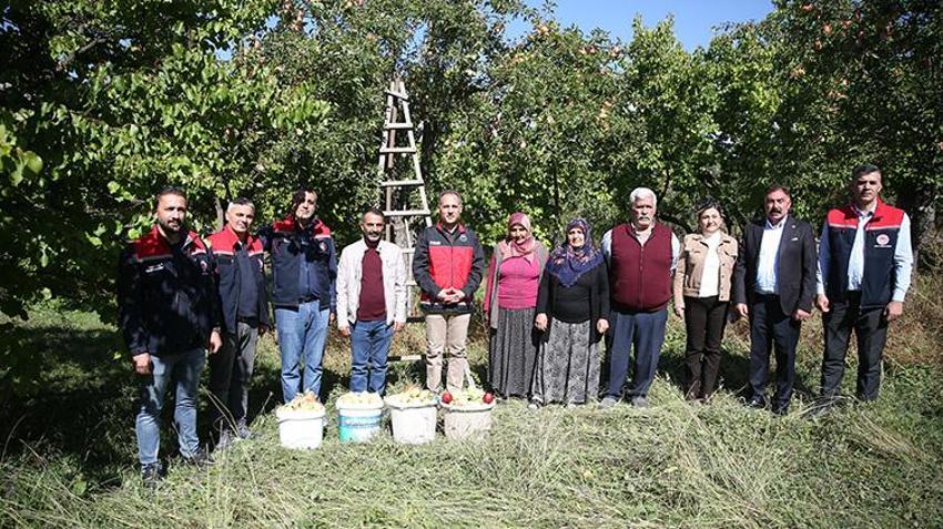 6 aya kadar raf ömrü var! Türkiye'de sadece Kağızman'da yetişiyor: 5 bin tonluk rekolte bekleniyor