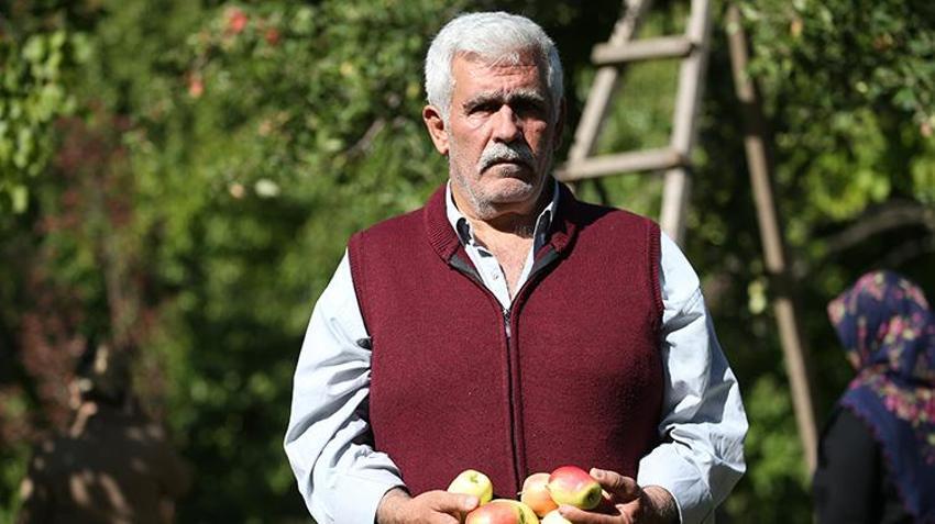6 aya kadar raf ömrü var! Türkiye'de sadece Kağızman'da yetişiyor: 5 bin tonluk rekolte bekleniyor