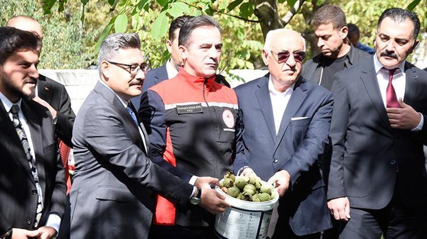 Adilcevaz'da ince kabuklu tescilli lezzet çiftçinin yüzünü güldürüyor: Yıllık 7 bin 900 ton üretimle rekor kırdı