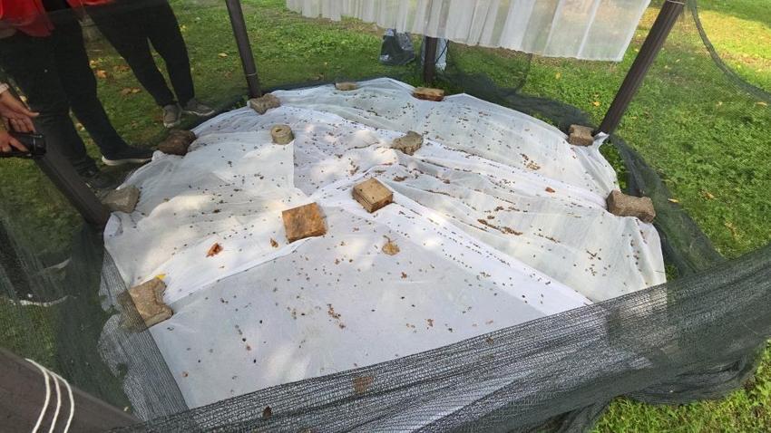 Sakarya, Samsun derken Ordu'da patladı! Köylüler isyan etti, artık izin verilmeyecek