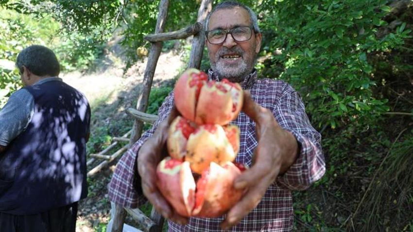 Her yerde yetişiyor ama tadı sadece Adana’da var! Kilosu tarlada 80 lirayı buldu, kapış kapış satılıyor