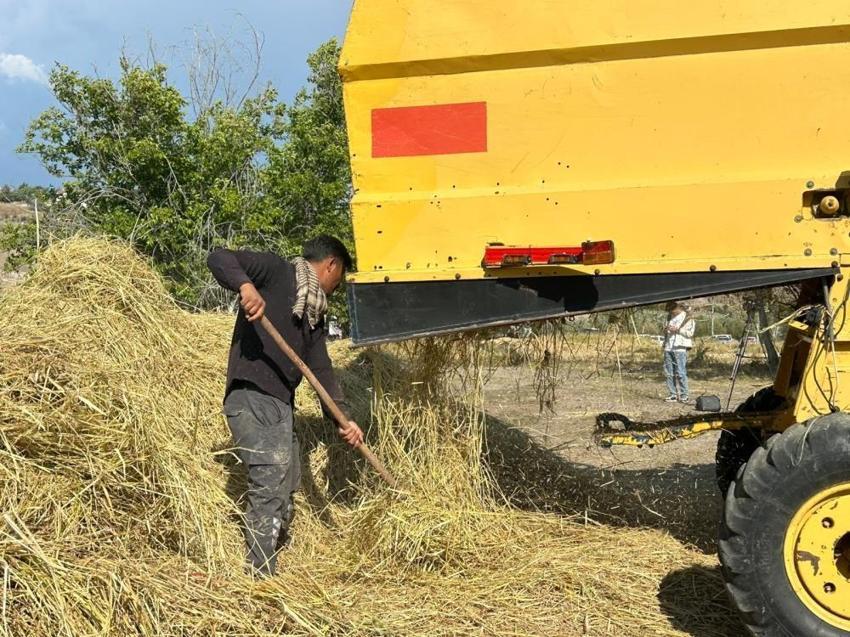 Ankara'da 40 yıl aradan sonra bir ilk! Efsane 'çömlek patlatan' pirinci geri döndü!