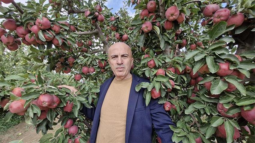 Rekolte tavan yaptı, fiyatlar çakıldı! Kilosu 10 liraya kadar düştü
