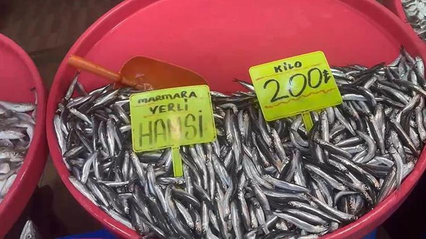 Bandırma’da palamut akını: 1 kilosu 100 liraya düştü, vatandaş hal binasına akın etti!