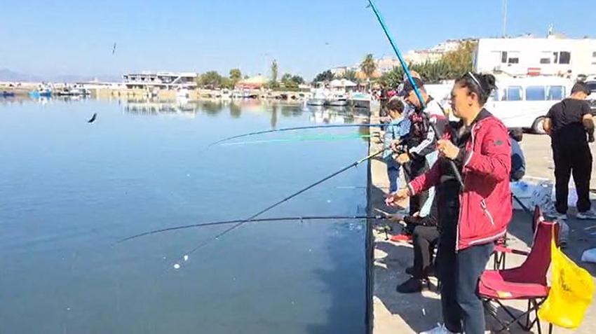 Bandırma’da palamut akını: 1 kilosu 100 liraya düştü, vatandaş hal binasına akın etti!