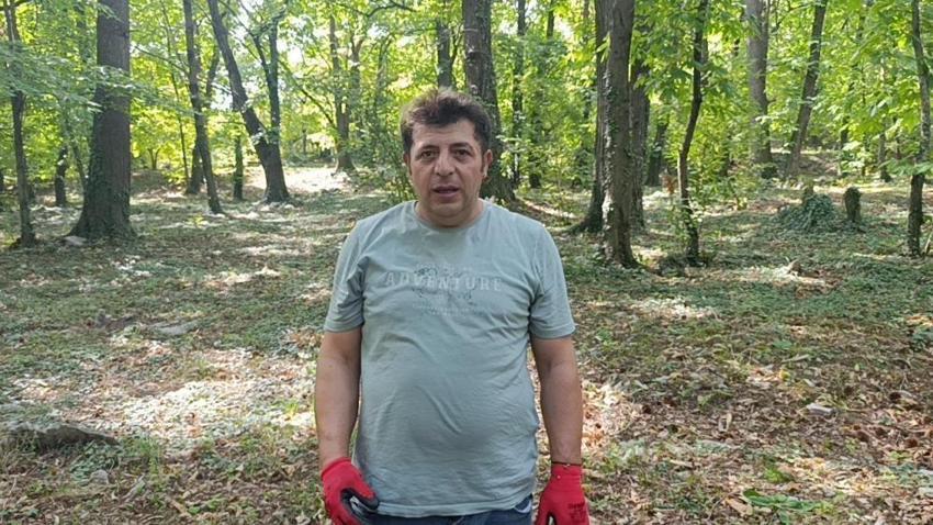 Antalya İbradı’da bin yıllık anıt ağaçlar tehlikede: Zehirli sarmaşıklar tarihi kestaneleri kurutuyor!