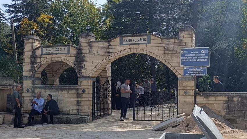 Antalya İbradı’da bin yıllık anıt ağaçlar tehlikede: Zehirli sarmaşıklar tarihi kestaneleri kurutuyor!