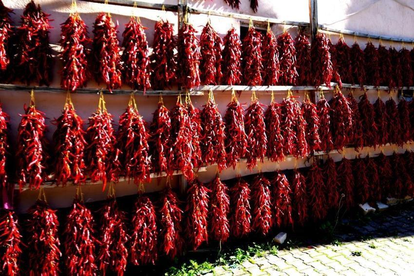 İğneyle boncuk dizer gibi hazırlıyorlar! Kilogram fiyatı 600 TL’ye ulaştı, talebe yetişemiyorlar