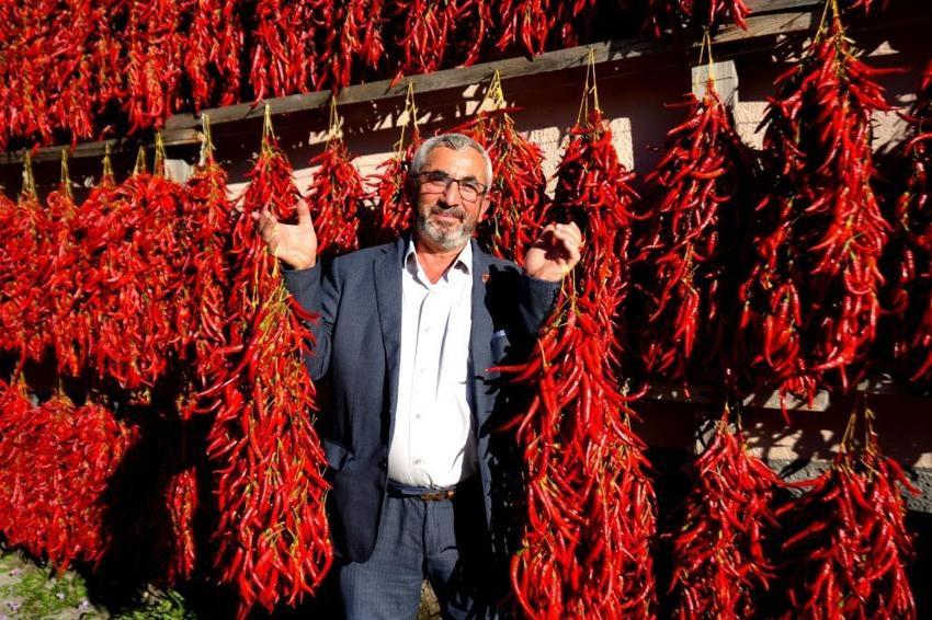 İğneyle boncuk dizer gibi hazırlıyorlar! Kilogram fiyatı 600 TL’ye ulaştı, talebe yetişemiyorlar