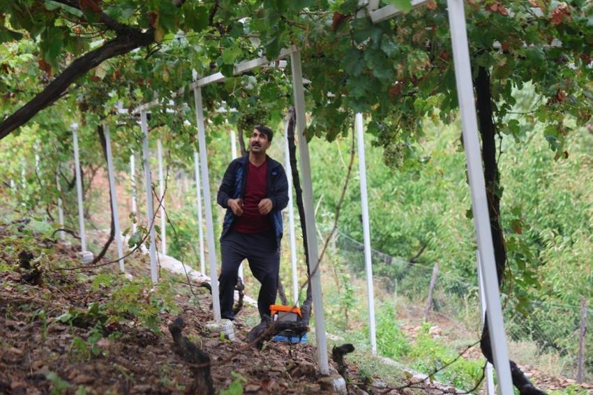 Adana'da 12 saatlik meşakkatli mesai başladı: Kilosu 500 liradan satılıyor!