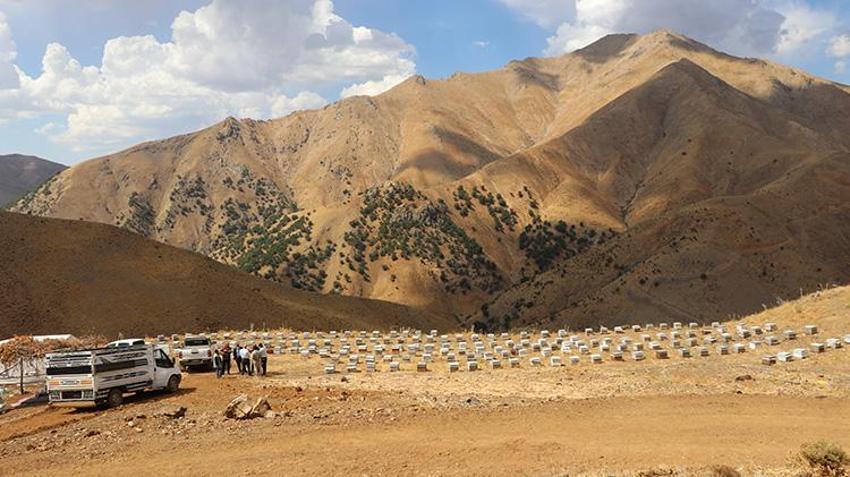Siirt'te sadece traktörle ulaşılabiliyor: Analiz sonuçları kapış kapış satılmasına yetti!