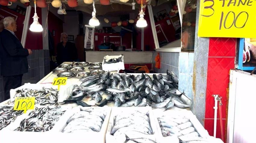 Doğu Karadeniz'de 20 yılın rekor palamut bereketi: Rize'de 3 tane iri palamut 100 liraya düşünce kuyruk oluştu!