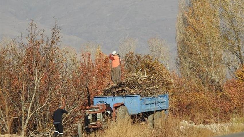 Soğuklar başladı, hazırlıklar hızlandı: Erzincan’da köylünün zorlu kış mesaisi