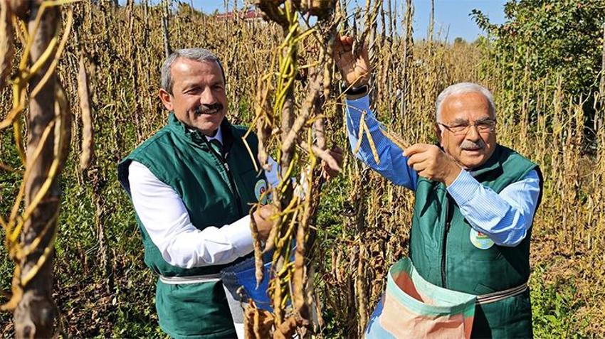 Destekler meyvesini verdi: 25 Tondan 2 Bin 200 Tona! Üretim 88 katına çıktı!