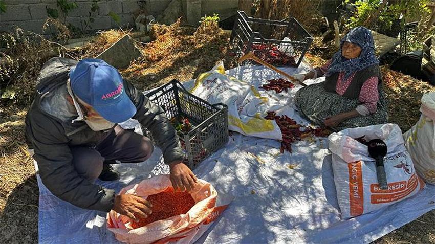 90 yaşındaki annenin yürek ısıtan fedakarlığı: Oğluna destek için günde 11 saat çalışıyor