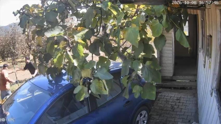 Kocaeli'de bir inek yüzünden başlayan tartışma kanlı bitti! Öğretmene muştalı saldırı suçlaması