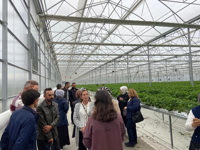 Samsun’da proje hayata geçti üreticiler modern tarımı yerinde öğreniyor