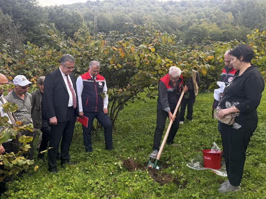 Samsun'da fındık randımanını ve üretimini artırmak için FINDEK projesi başlatıldı