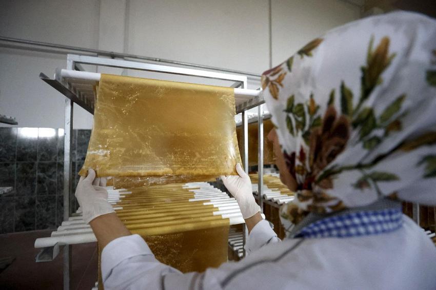 Malatya'da geliştirilen makine üzüm, dut, kayısı ve erik gibi meyvelerden ayda 28 ton pestil üretiyor