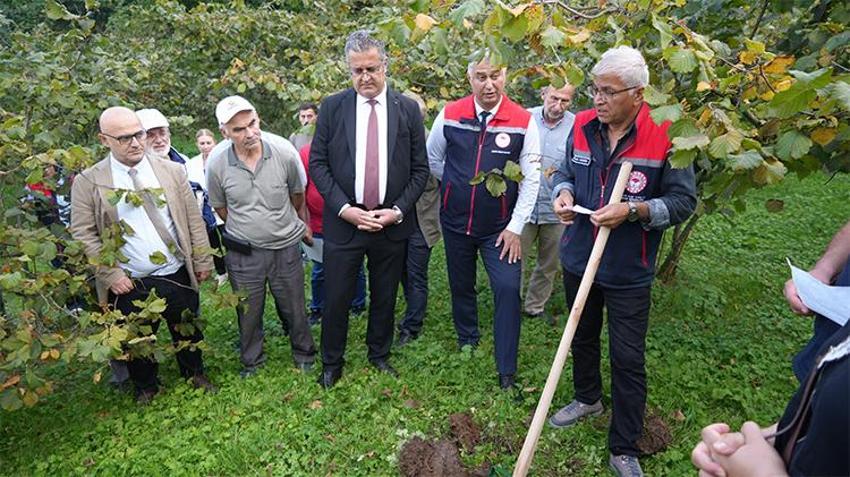 Fındık üreticisine müjde: Maliyeti düşürecek, verimi katlayacak! Samsun’da FINDEK Projesi başladı