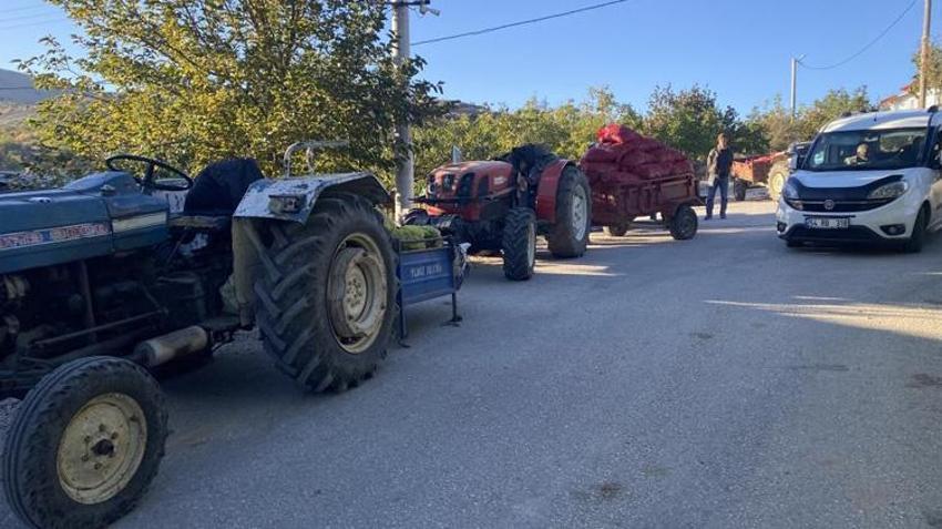 Bilecik'te 100 bin ağaçtan rekor verim! Alıcılar köye akın etti, kilosu 40 TL'den yok satıyor