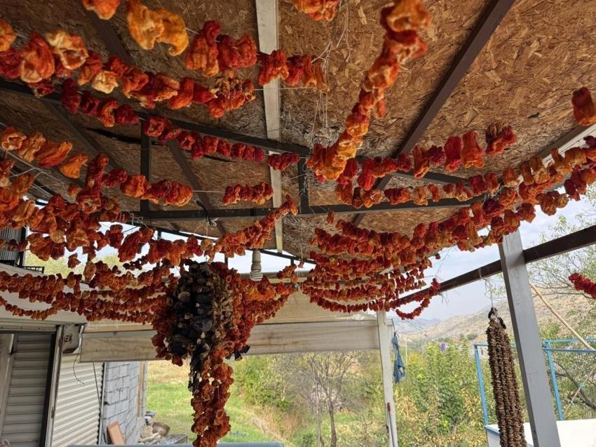 Çermik biberinden reçel yaptı! Diyarbakır'dan 81 ile gönderiyor, hedefi dünya