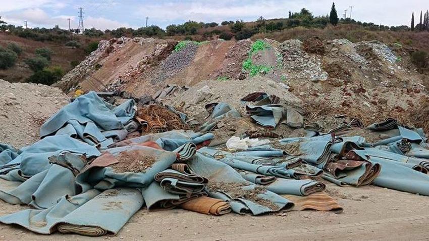 Türkiye'nin Toskana’sı çöp deposu oldu: Endemik türler ve zeytinlikler tehlikede! EKODOSD'dan Yaylaköy için acil çağrı