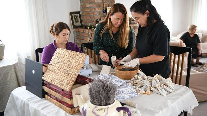 Bulgaristan'dan getirip Çanakkale'deki arazisine dikti! İlk hasadı Fransa'da kapış kapış satıldı