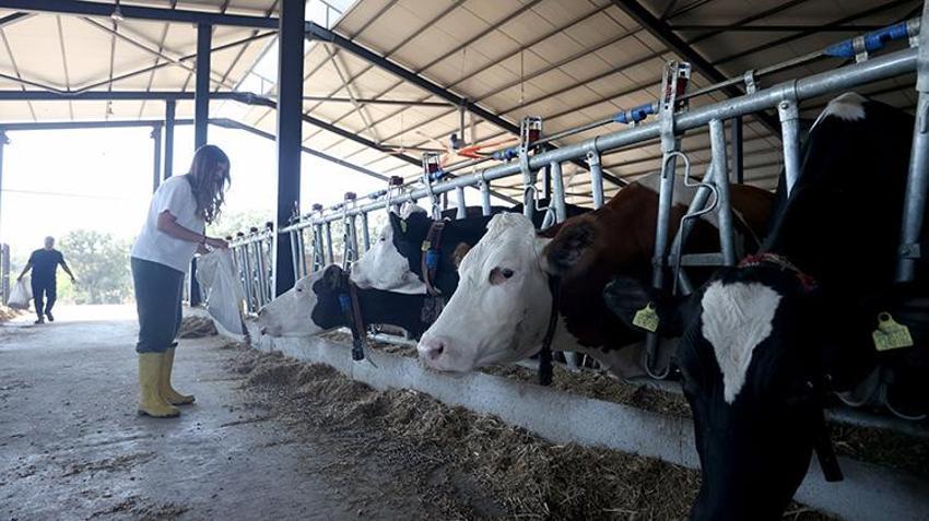 Ziraat mühendisi çiftten Kırklareli'ne dev yatırım: Yüzde 50 devlet hibe desteğiyle kendi işinin patronu oldular