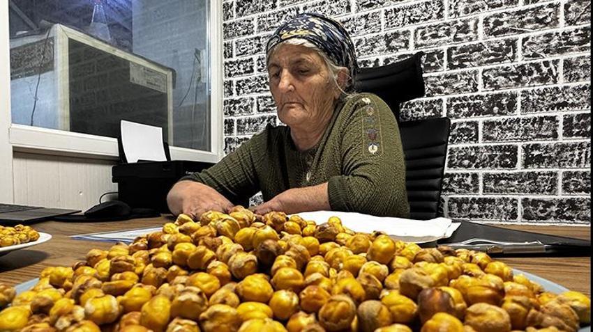 Anne mirasını 81 ile ulaştırıyorlar! Sac üzerinde başladı, yıllık 100 ton kapasiteye ulaştı! 9 çocuğu için mücadele etti, tescilli Ağın leblebisini Türkiye’ye tanıtıyor