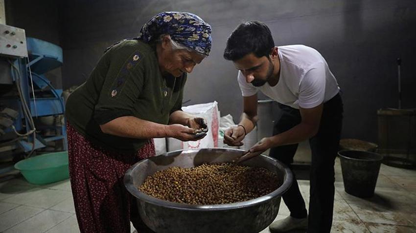Anne mirasını 81 ile ulaştırıyorlar! Sac üzerinde başladı, yıllık 100 ton kapasiteye ulaştı! 9 çocuğu için mücadele etti, tescilli Ağın leblebisini Türkiye’ye tanıtıyor