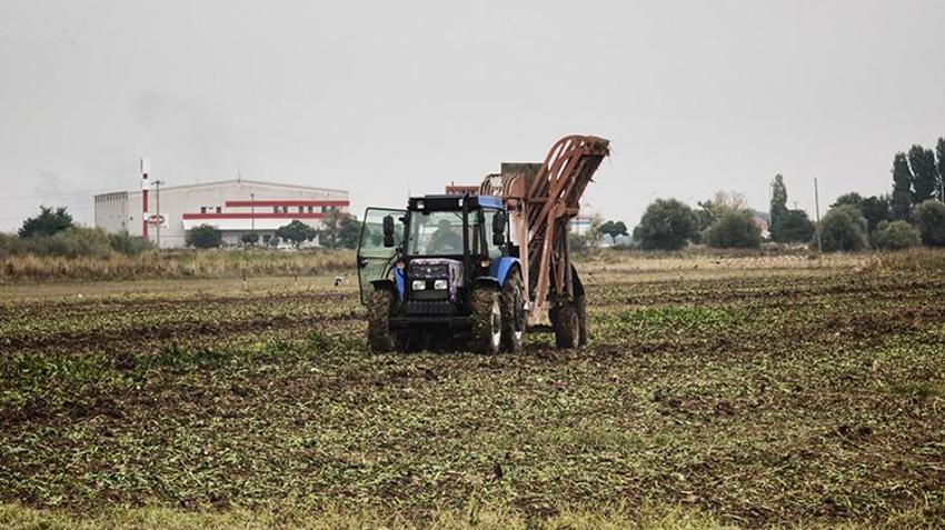 Muş Ovası’nda hasat başladı: Yaz boyunca 10 kez sulandı, bölgeye 2,5 milyar lira akacak!