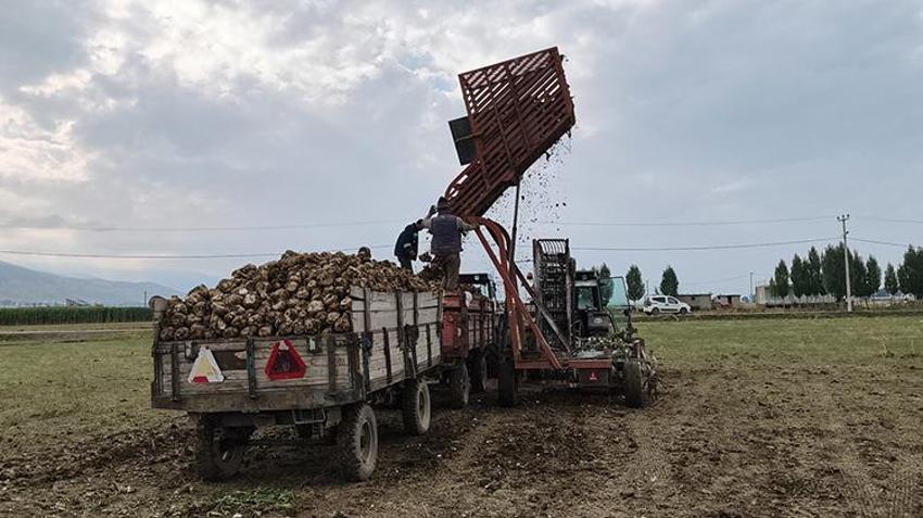 Muş Ovası’nda hasat başladı: Yaz boyunca 10 kez sulandı, bölgeye 2,5 milyar lira akacak!