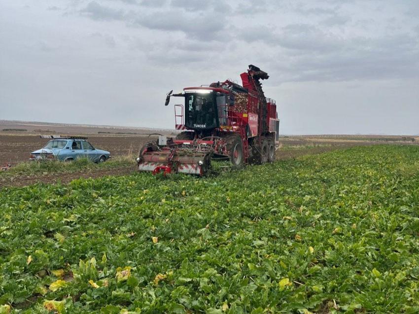 Kulu'da 12 bin dekarlık alanda şeker pancarı hasadı başladı