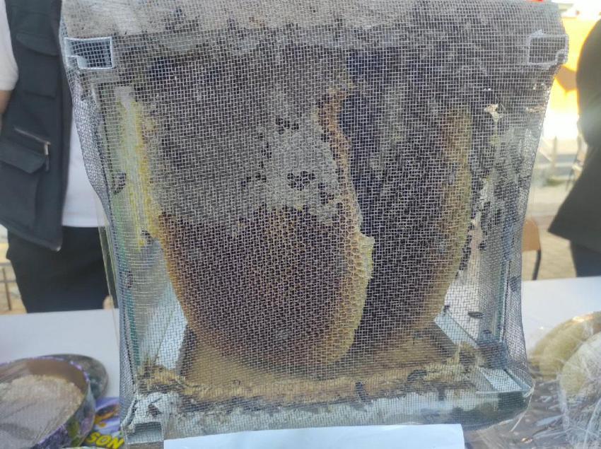 Sason'da rekor fiyata satıldı! 1 kilogramı 400 bin liraya satılan balın bedeli üreticilere teslim edildi